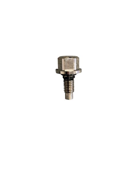 DRAIN PLUG ASSEMBLY
